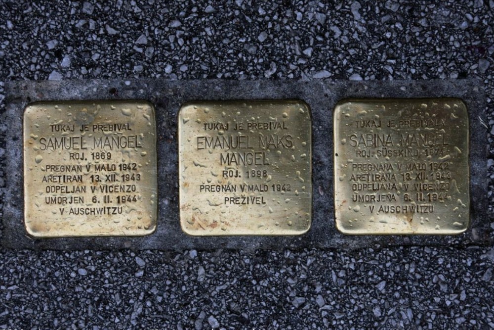 Stolpersteine Celovška cesta 44 #1