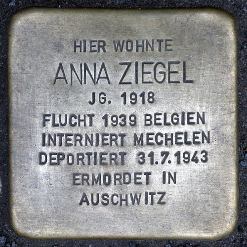 Stolpersteine Greifenhagener Straße 13 #3