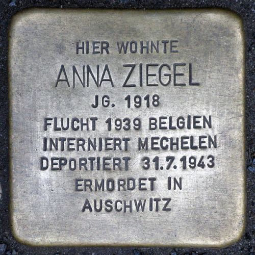 Stolpersteine Greifenhagener Strae 13 #3