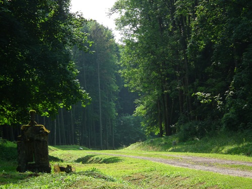 Former Village Beaumont-en-Verdunois #5