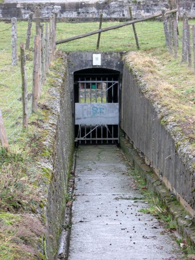 Fortified Position Lige - Fort de Tancrmont-Pepinster #3