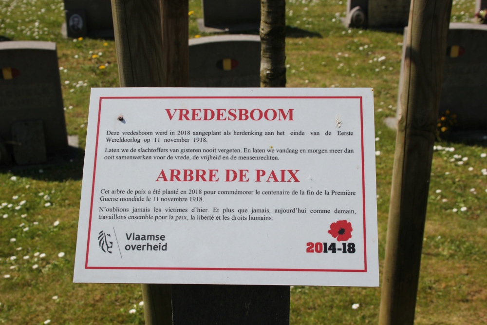 Vredesboom Linkebeek #2