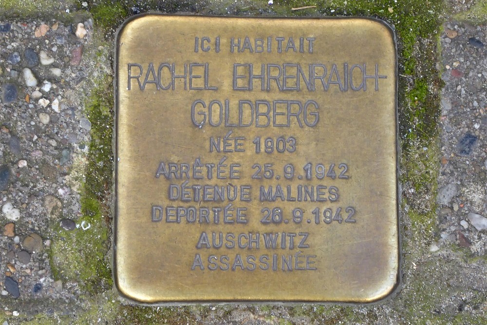 Stolperstein Sergeant De Bruynestraat 55