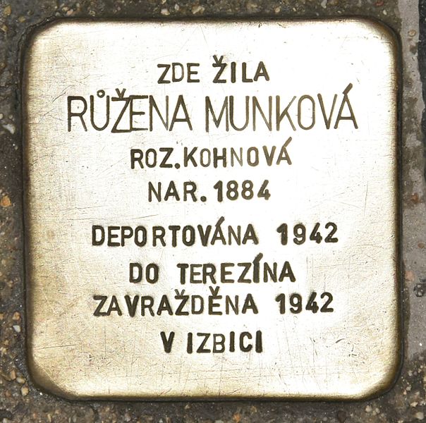 Stolperstein Vlhk 15