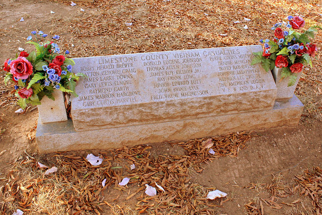 Monument Vietnam-Oorlog Limestone County