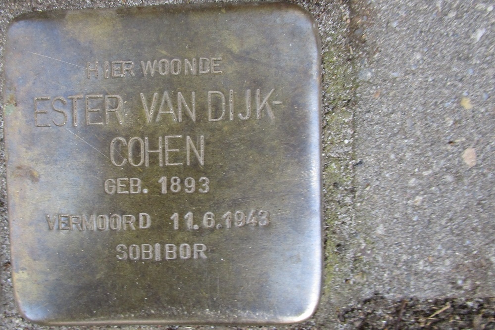 Stolpersteine Van der Does de Willeboissingel 45 #3