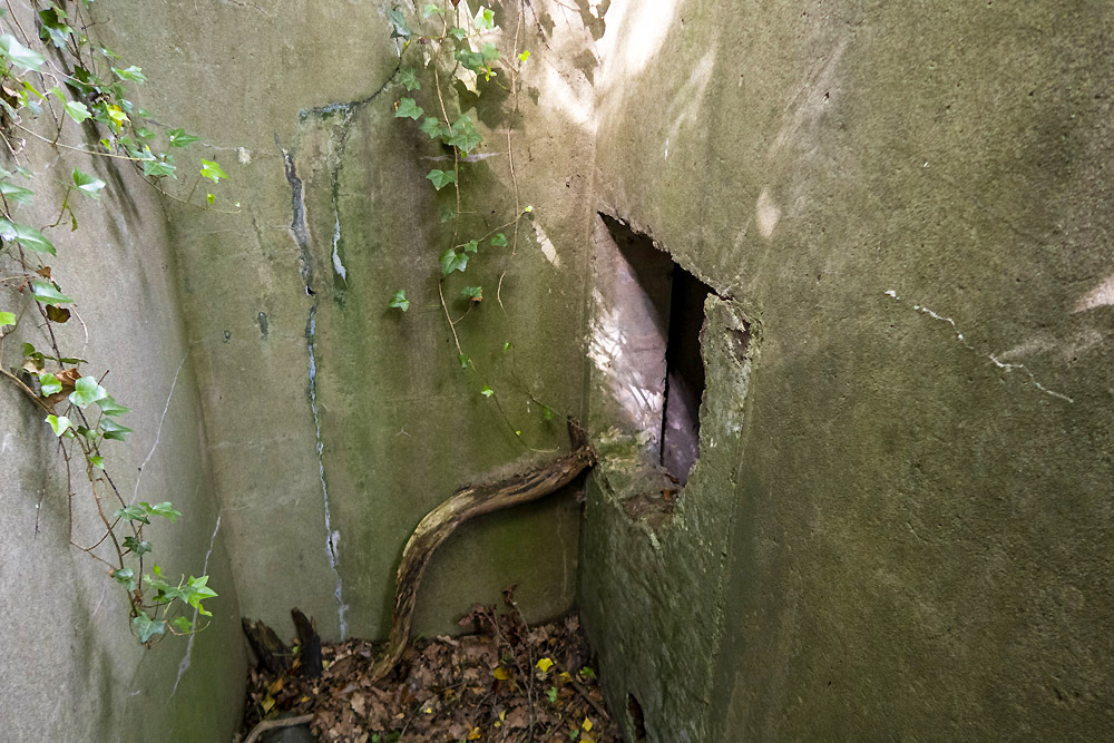 Verdedigingsbunker VM1 ter #4