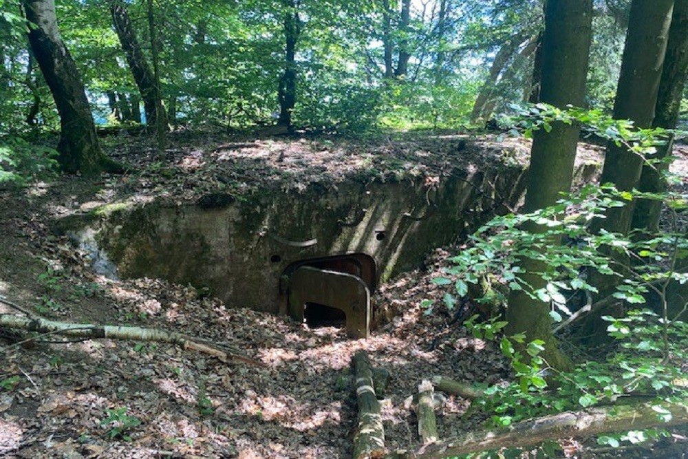 Bunker Grensstelling Tsjechi #3