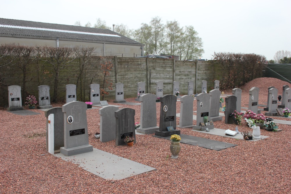 Belgian Graves Veterans Tollembeek #4
