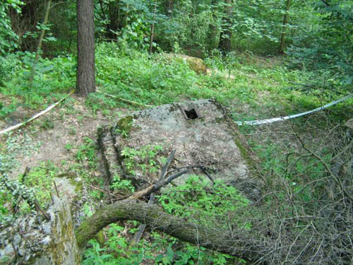 Stalin Line - Remains Casemate No. 487