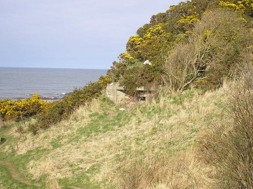 Bunker Boarhills #1