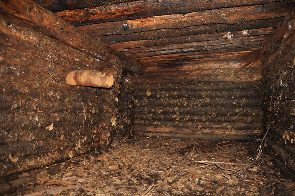 Underground Wooden Shelter