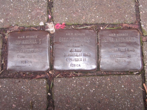 Stolpersteine Bornstrae 10 #1