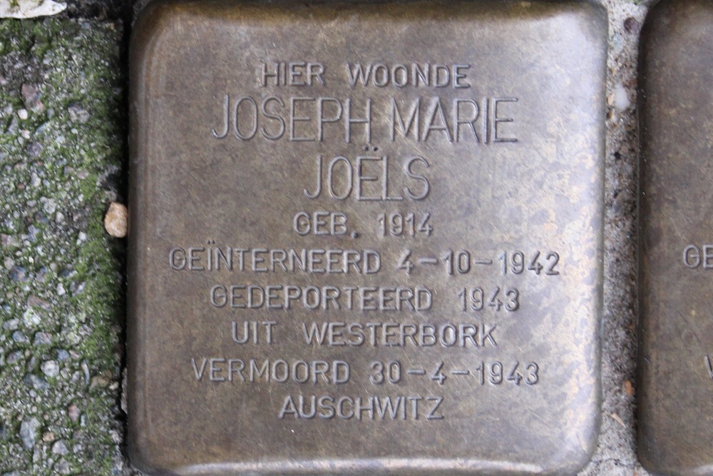 Stolpersteine President Steynplantsoen 15 #2