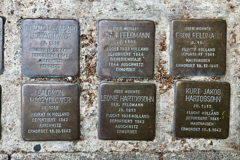 Stolpersteine Grindelhof 89 Haus Nr. 7 #1