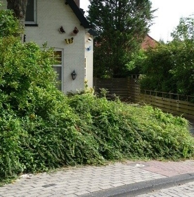 Stolpersteine Brielseweg 1