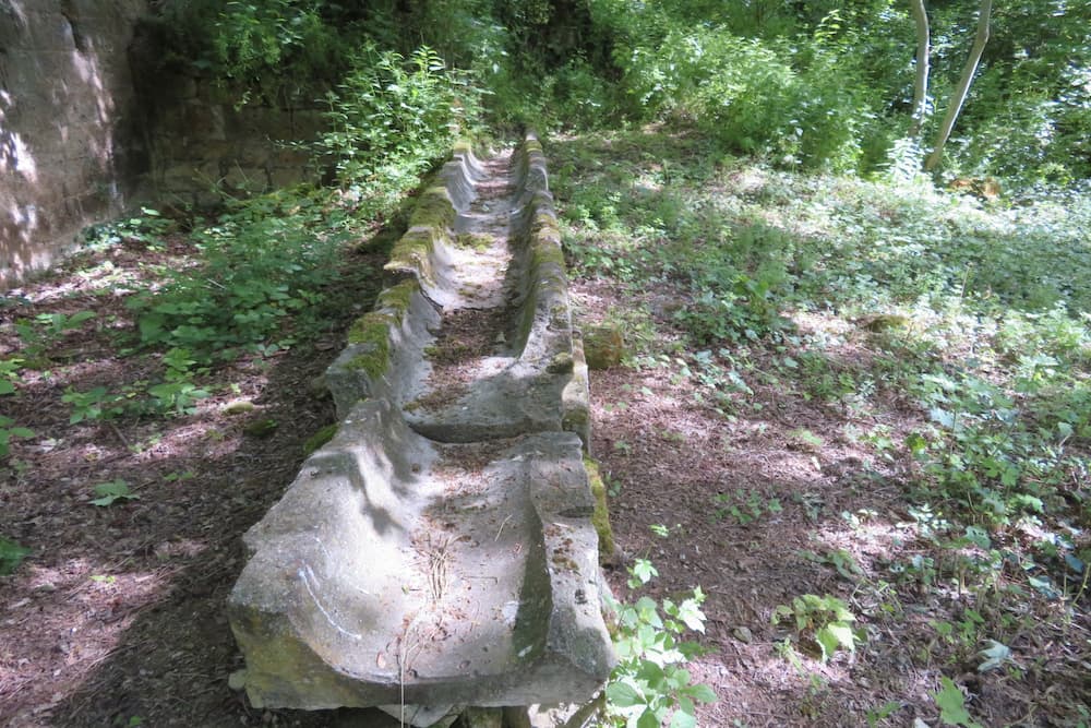 Ruine Kloosterboerderij Confrqourt #4