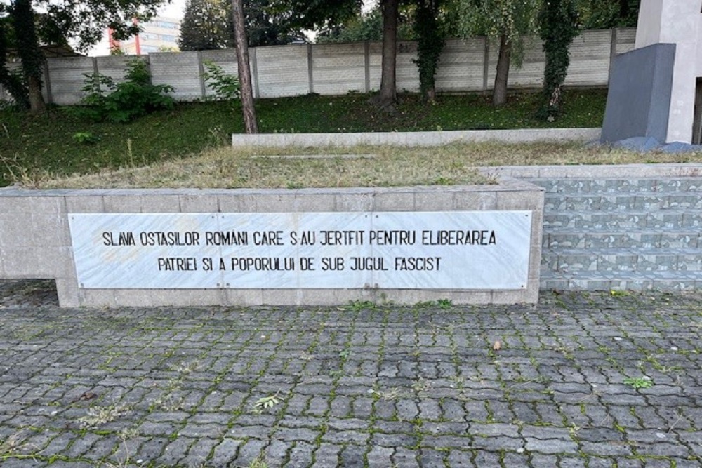 Monumenten Roemeense Soldaten Cluj-Napoca #4