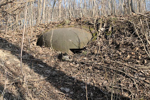 Fortified Region of Silesia - Heavy Casemate No. 27 #5