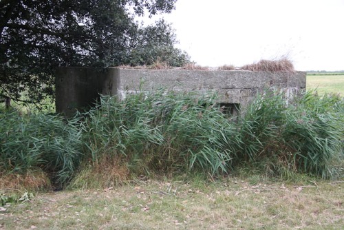 Pillbox FW3/22 Holkham #1