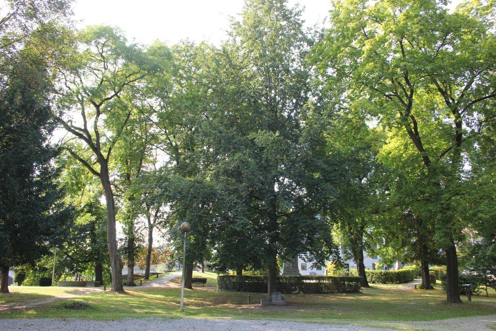 Vrijheidsboom Aywaille #1