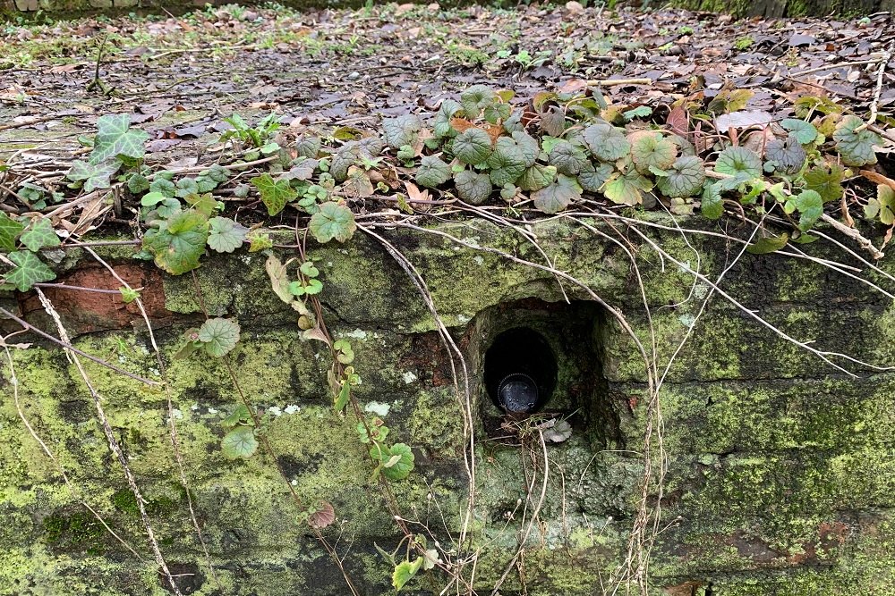 Bunker F - Position Avance Dolhain (Limbourg) #3