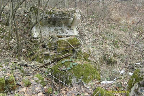 Molotov Line - Remains Casemate Załuż (D) #1