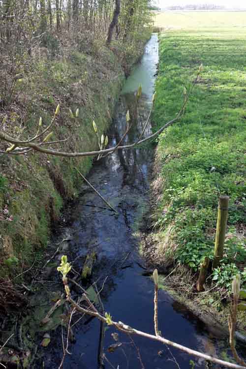 Slit trenches and Anti Tank Ditch Heiloo Woods #4