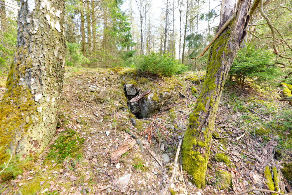 Bunker P110 Ochsenkopf