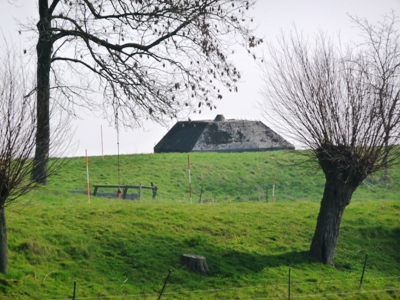 Groepsschuilplaats Type P Fort bij de Nieuwesteeg #1