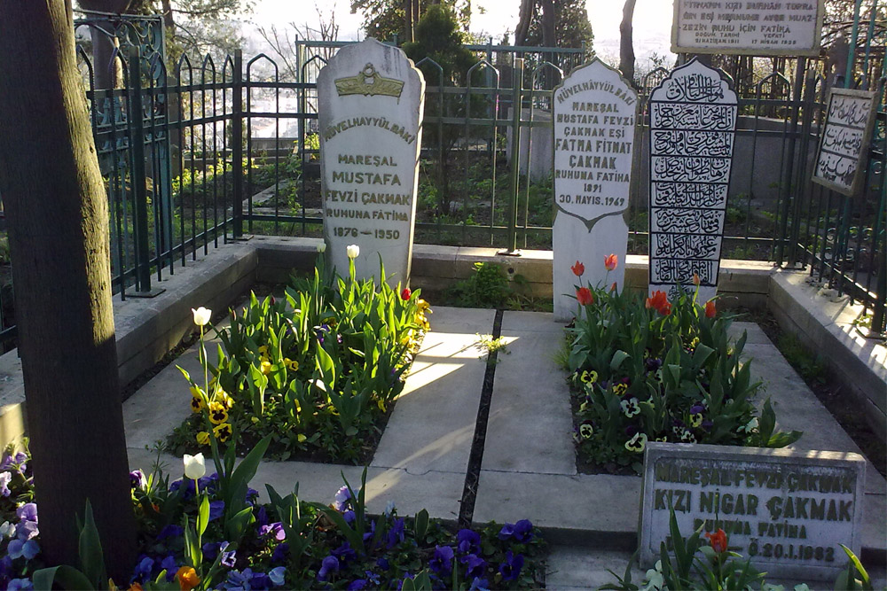 Graves Turkish War Veterans #1