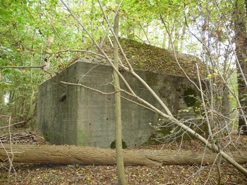 Group Shelter Type P Amelisweerd #2