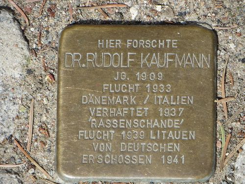 Stolperstein Friedrich-Loeffler-Straße 23d