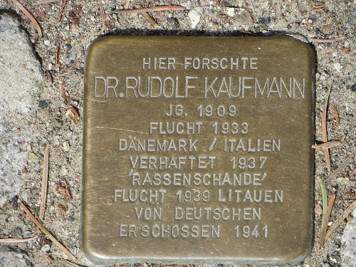 Stolperstein Friedrich-Loeffler-Strae 23d