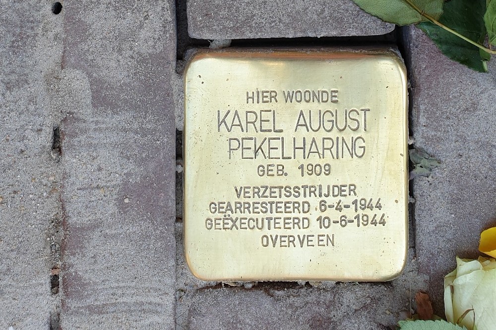 Stolperstein Rombout Hogerbeetstraat 83 #1