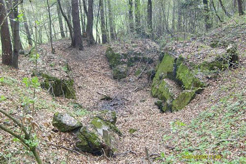 Molotov Line - Remains Casemate Bykowce #1