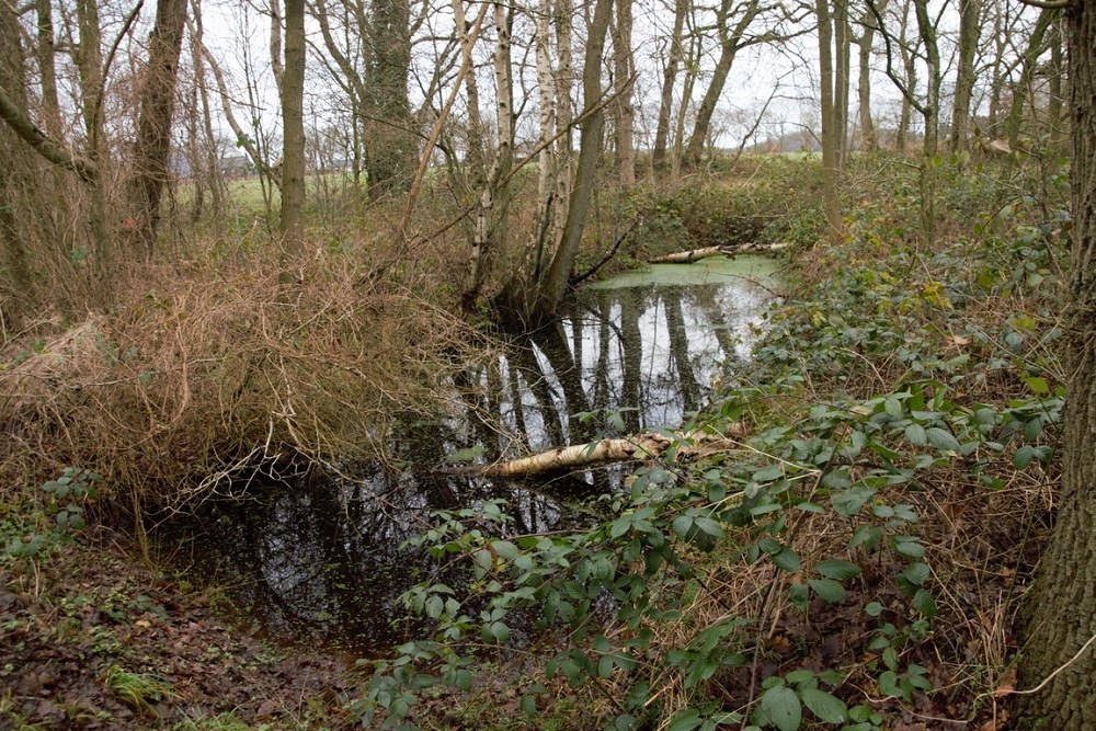 Remains German Anti-tank Ditch Schipborg #3