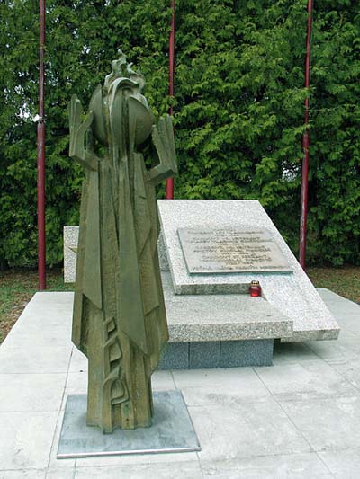 Monument Omgekomen Russische Vliegeniers Dlhoňa #1