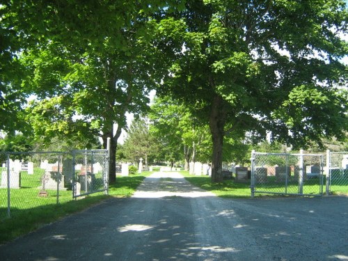 Oorlogsgraven van het Gemenebest St. Anselm's Cemetery #1