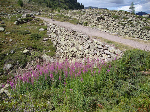 Italian Military Road