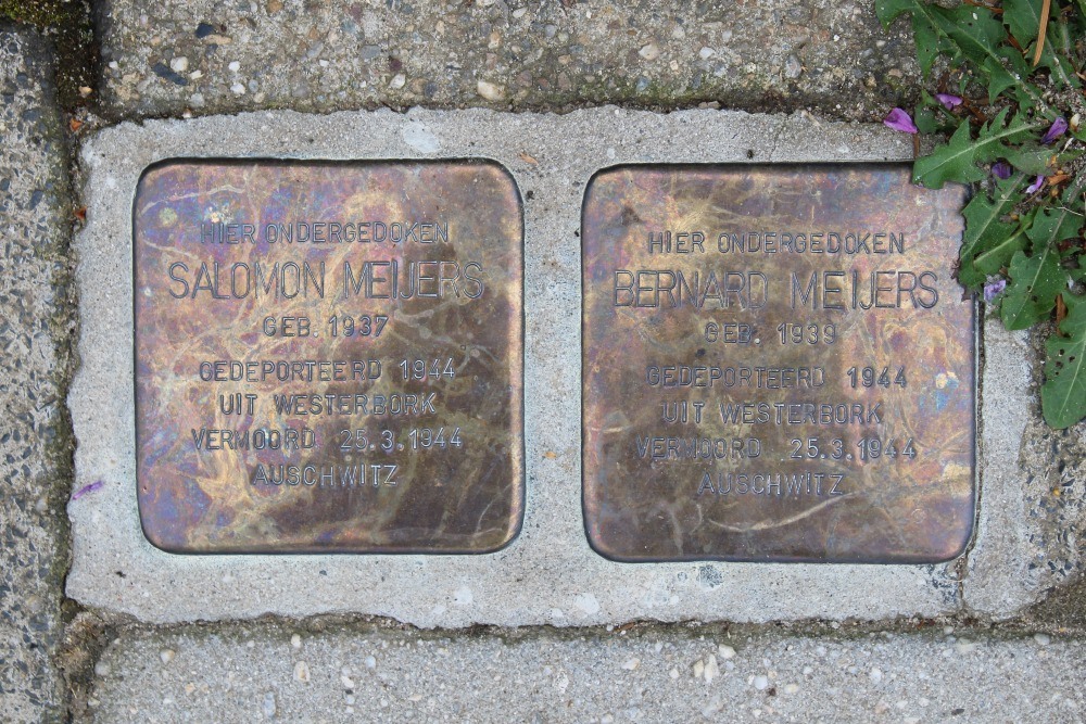 Stumbling Stones Proosdijstraat 15 #1