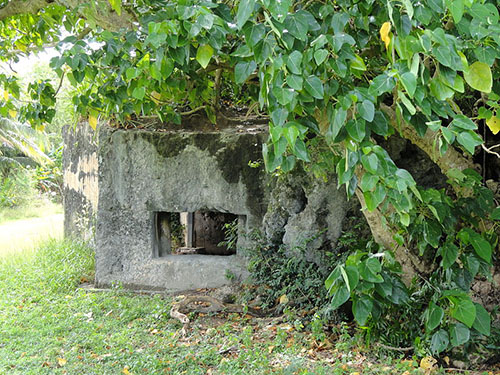 Japanse Bunkers Ga'an Point #2