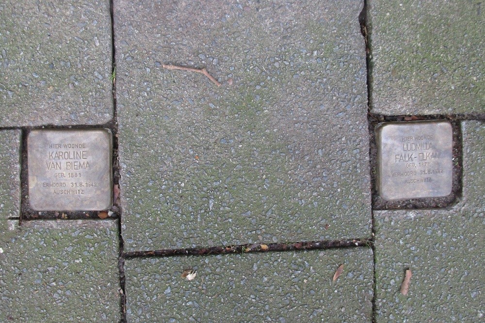 Stumbling Stones Wolter Heukelslaan 62 #1