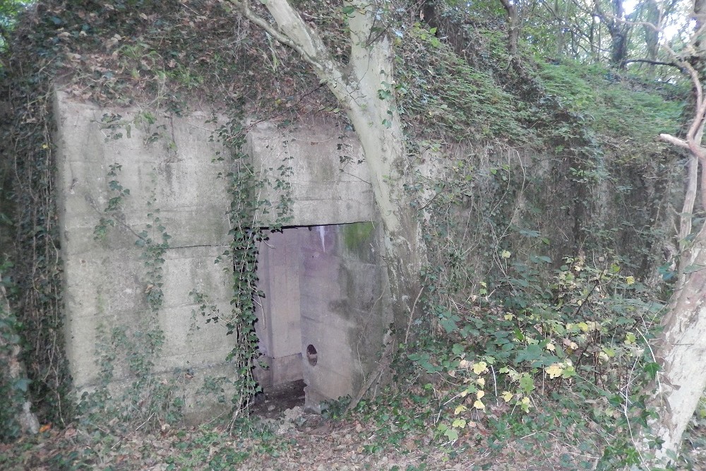 Stützpunkt 155 Tümmler - Vf Generator