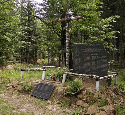 Field Graves Polish Partisans Starachowice #1