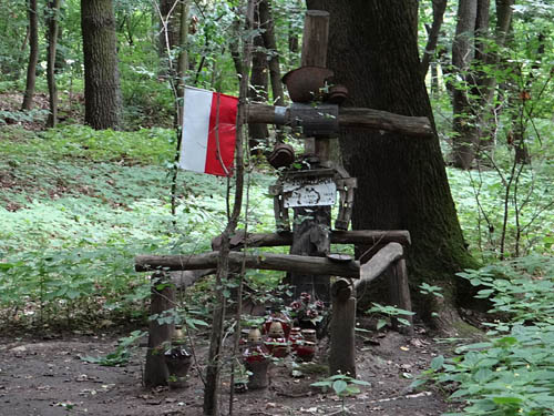 Veldgraven Poolse Soldaten Park Mlocinski #1
