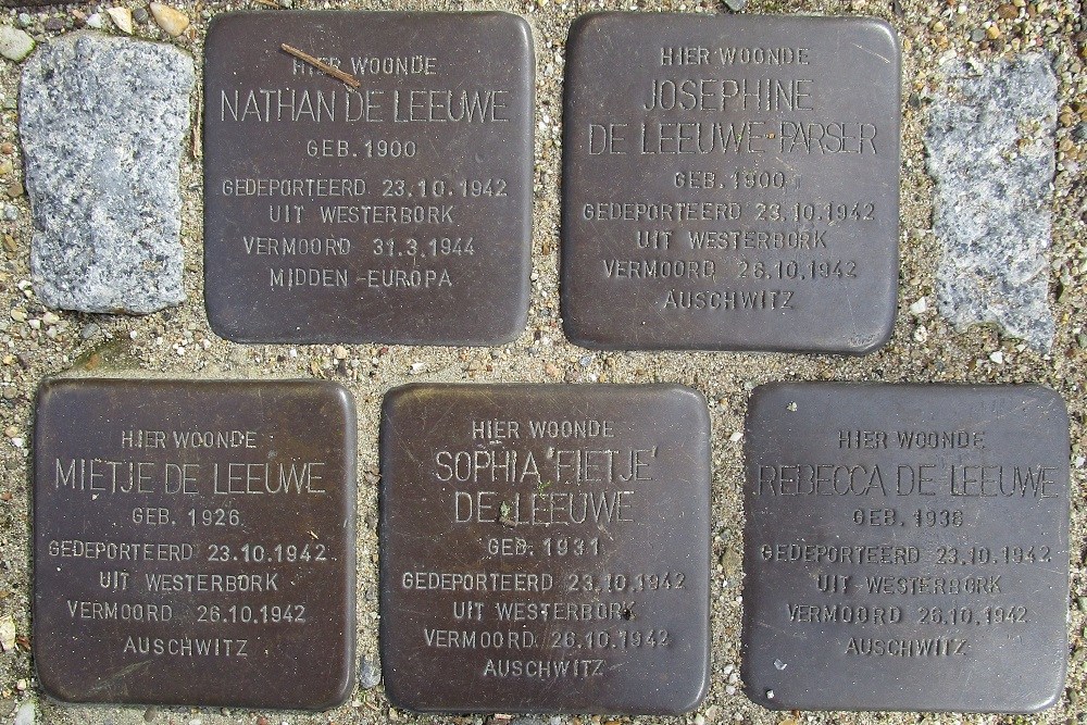 Stolpersteine Raam 101 #2