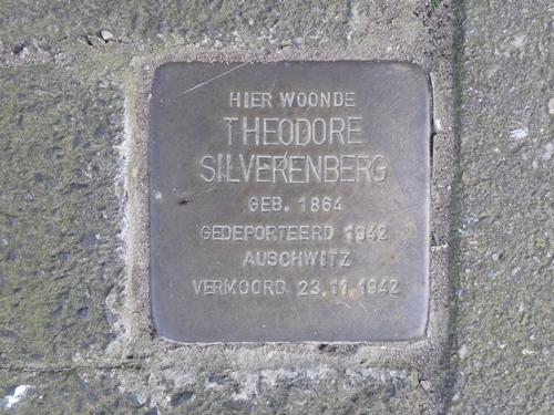 Stumbling Stone Hendrik Casimirstraat 21 #1