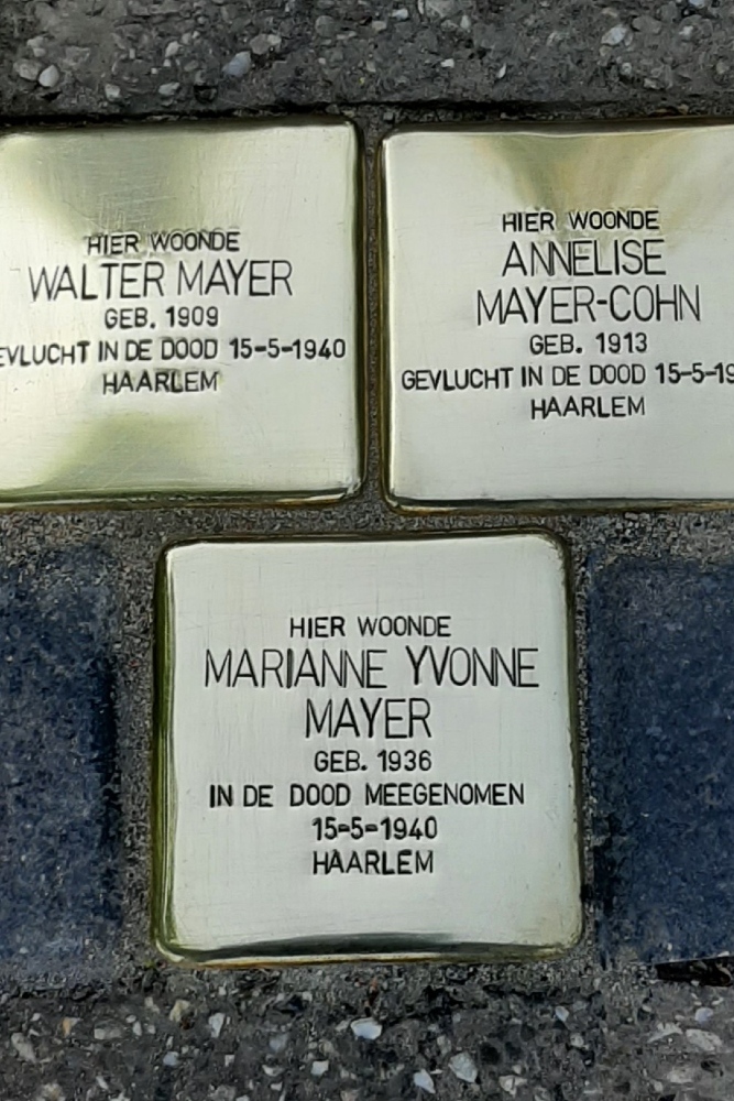 Stolpersteine Anna van Burenlaan 51 #2