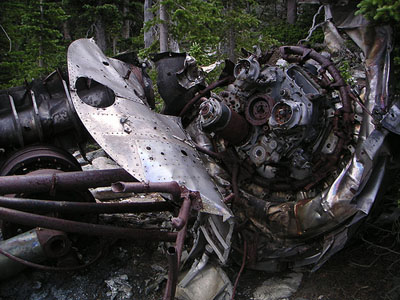 Crash Site & Remains B-17 Flying Fortress 42-30891 #2